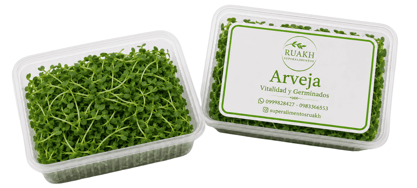 Brotes de Arveja